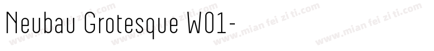 Neubau Grotesque W01字体转换